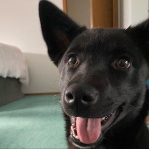 Meet your Posher, Robyn